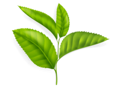 0901c8zu-33bb-244x188.png