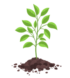 0901c90a-9e60-254x283.png