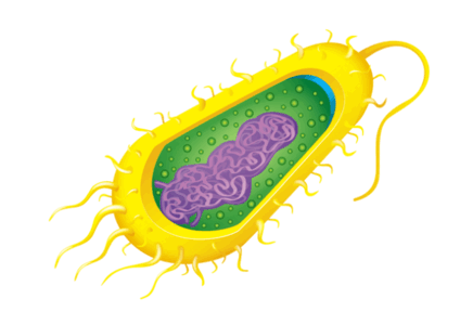 0901c93d-48ec-532x352.png