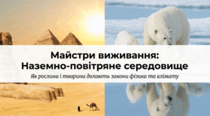 Які пристосування організмів до життя в наземно - повітряному середовищі