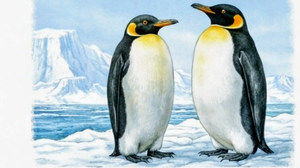 0901c9dh-f300-300x168.png
