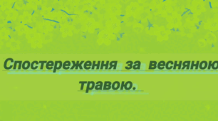 Спостереження за травичкою. (старший вік)