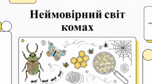 Дивовижний світ комах: факти та екологічна роль