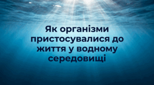 Як організми пристосувались до життя у водному середовищі