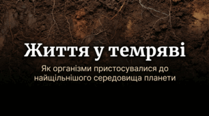 Як організми пристосувались до життя у грунтовому середовищі
