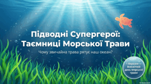 1 березня Всесвітній день морської трави