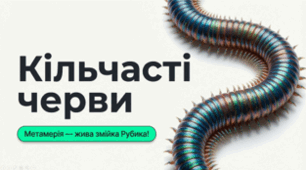 7 клас НУШ. Кільчасті черви