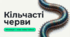 7 клас НУШ. Кільчасті черви