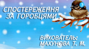 Спостереження за горобцями
