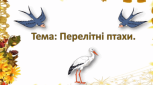 Заняття з ознайомлення з природним довкіллям. (старша група).Тема: Перелітні птахи.