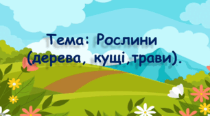 Заняття ознайомлення з природою.(старший вік).Тема: Рослини (дерева, кущі, трави).