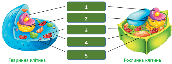 0901cc5r-044d-602x226.png