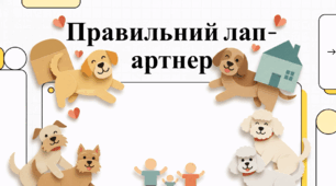 Відеоогляд "Найкращі породи собак для дітей та догляд за ними"