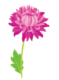 0901cf1a-6012-59x80.png