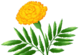 0901cf1p-d12b-79x55.png