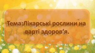 Заняття з природного довкілля. (старша група).Тема: Лікарські рослини на варті здоров'я.