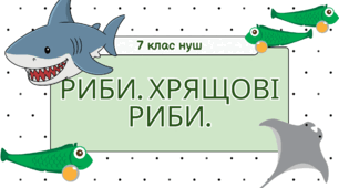 Риби. Хрящові риби