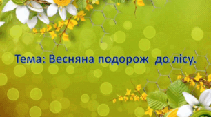 Заняття з ознайомлення з природним довкіллям. (старший вік).Тема: Подорож до весняного лісу.