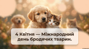 4 квітня – Міжнародний день бродячих тварин (World Stray Animals Day)