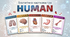 Освітня анатомічна гра "HUMAN"