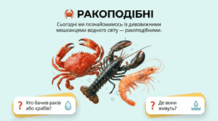 7 клас НУШ. Ракоподібні