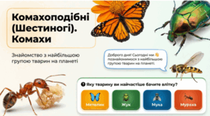 7 клас НУШ. Комахоподібні (Шестиногі). Комахи