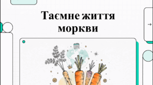 Відеоогляд "4 квітня - Міжнародний день моркви"