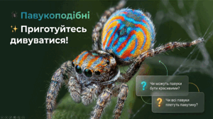 7 клас НУШ. Павукоподібні