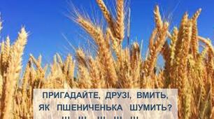 ВІдеовправа:  "Послухай і повтори, як шумить звук [Ш]"