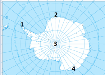 0901chzr-d5b4-338x241.png