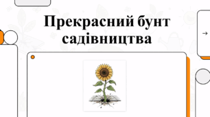 1 травня Міжнародний день садівництва соняшника