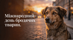 4 квітня Міжнародний день бродячих собак