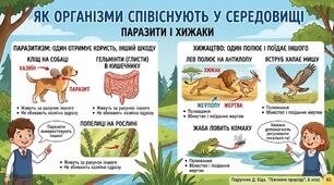 Як організми співіснують у середовищі. Паразити і хижаки.