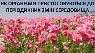 Презентація до уроку: "ЯК ОРГАНІЗМИ ПРИСТОСОВУЮТЬСЯ ДО ПЕРІОДИЧНИХ ЗМІН СЕРЕДОВИЩА"