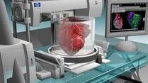 Уперше в історії вчені надрукували на 3D-принтері людське серце