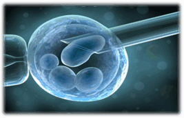 0901cj21-8b3b-267x171.png