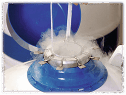 0901cj3k-8c22-254x191.png