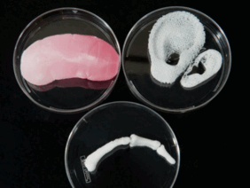 0901cje1-c061-282x212.png