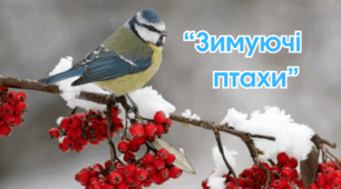 Сценарій екологічного виховного заходу «Зимуючі птахи - наші друзі»