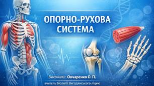 Експрес- тести з біології 8 клас НУШ Тема 3 “Опорно - рухова система”