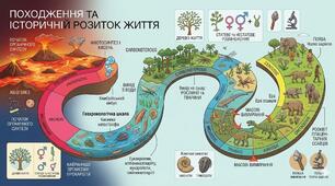 ПОХОДЖЕННЯ ТА ІСТОРИЧНИЙ РОЗВИТОК ЖИТТЯ