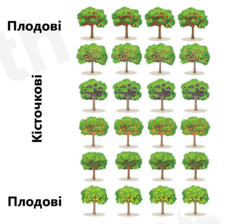 0901clhr-380e-773x753.png