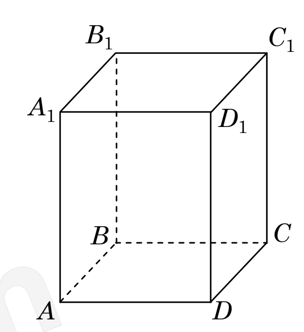 0901cm65-8501-603x659.png