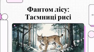 Відеоогляд "Рись"