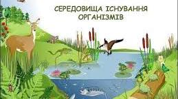 Середовища існування. Взаємозв'язки між організмами в середовищі.