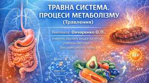 Експрес - тести з біології 8 клас НУШ Тема 4  «Травна система. Процеси метаболізму (Травлення)»
