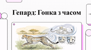 Відеоогляд "Гепард"