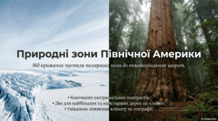 Природні зони Північної Америки (презентація, конспект уроку, інфографіка)