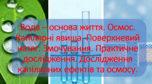 10 клас. Природничі науки. Презентація до уроку: Вода – основа життя. Осмос. Капілярні явища. Поверхневий натяг. Змочування. Практичне дослідження. Дослідження капілярних ефектів та осмосу.