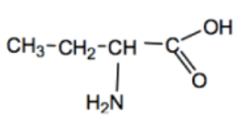 0901cvpj-7093-342x169.png